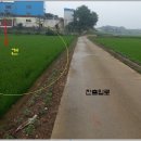 한정초등학교 이미지