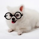 가천안경 이미지