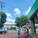 자인계정숲 이미지