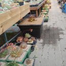 국보농장 이미지