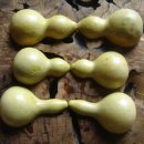 두손농장 이미지