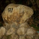 영산산림 이미지