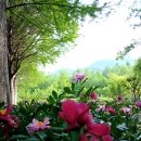 윤석열과 국무위원 '불법 회의'의 재구성 - 뉴스타파 이미지