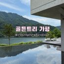 힐링트리 | 가평대형카페 남이섬 근처 카페 북한강뷰카페 골든트리 가평 | 가족 힐링 여행 솔직 방문후기