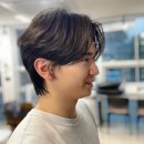 디아이와이헤어 네이버블로그