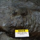 용연동굴 이미지