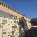 양평공설공원묘지 이미지