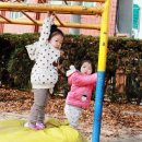 변동초등학교 이미지