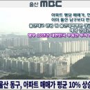 울산 동구, 작년 아파트 매매가 평균 10% 급등, 울산지역 아파트 상승세 주도! [울산MBC] 이미지