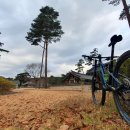 수곡2리 이미지