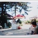 매산농원 이미지