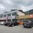 낙동생오리 이미지