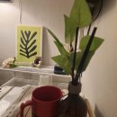 이레 스테이 이미지