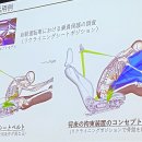 주시카페 앞 횡단보도 이미지