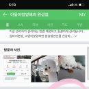 야옹아멍멍해봐미용