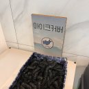 (대전 놀거리) 대전 봉명동 시설 좋은 코인 노래방 &#39;블루 웨일 코인 노래 연습장&#39;
