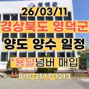 영덕03 티스토리