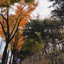 단양군평생학습센터 1층 | 서초구 배움의 축제, 서초평생학습 페스타 방문 후기