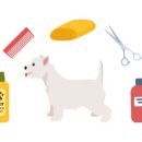 소랑동물병원 이미지