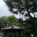 그해여름