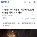 화제의 국산 스팀 게임이 사실 넥슨 프로젝트 유출? 이미지