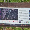 서운면사무소 이미지