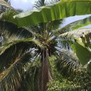 중식농장 이미지