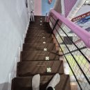 (주)스위스키즈베이 | 가평 키즈펜션 스위트아이키즈풀빌라 방문 리얼 후기