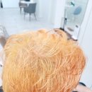 미오헤어 이미지