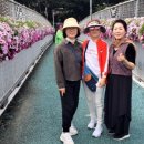 뉴연세음악학원 이미지