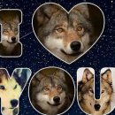 수정-111 이미지