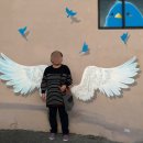 대니스짐 이미지