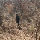 규식농장 이미지