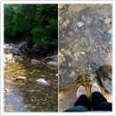 솔지에로펜션 이미지