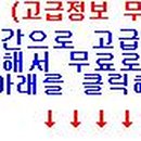 에스지네트 이미지