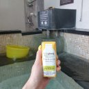 용소폭포 해바라기 | 속초 척산온천 가족탕 요금은? 척산온천휴양촌 후기