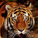 수고1리 경로당 이미지