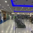 마이애미휘트니스클럽