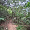 가야유원지 등산로 이미지