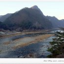 새들민박 이미지