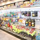 중리 더펫 동물병원 이미지