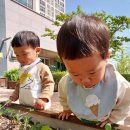 채소.과일로 놀아요 & 텃밭에서 먹을수 있는 것을 찾아요💕 이미지