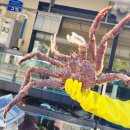 미니스톱 강릉교동대로점 | 강릉 대게 맛집 내돈내산 추천 I 교동대게 강릉본점