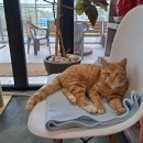 달마고도민박 이미지