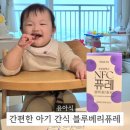 돌아기 간식 블루베리주스 대신 퓨레 트루알엑스 블루베리스틱 활용 후기