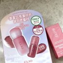 멜로우모브 | 립도 잘하는 클리오💥🤍 볼륨메이트 남산 복숭아 핑크/크렌베리 토핑/멜로우 모브 핑크 내돈내산 솔직후기🍑
