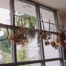 경기도 수원시 팔달구 권광로180번길 49 (인계동) 이미지