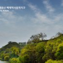 백제광고 이미지