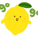 자연사박물관 정문 앞 이미지