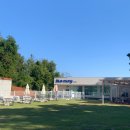 불로봉무동 행정복지센터 | 대구 근교 애견카페 베스트 TOP 10 추천